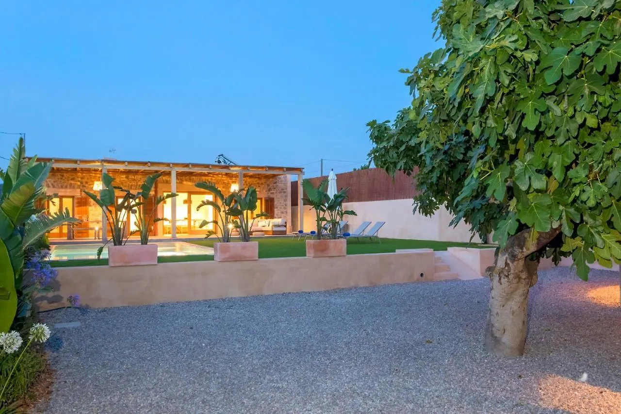 Villa Can Portmany Ginebra San José